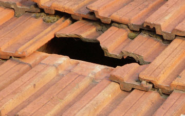 roof repair Shucknall, Herefordshire